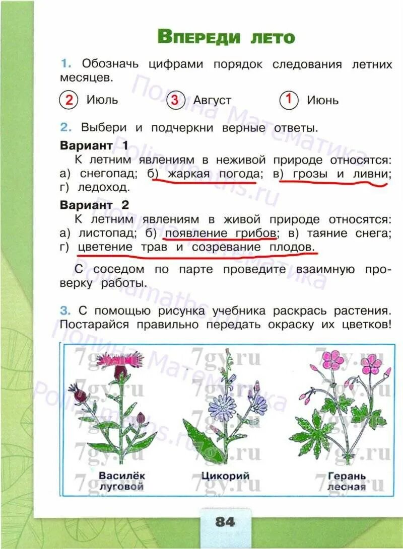 Окружайка 4 класс рабочая тетрадь 2