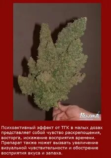 Как писать от имени тгк