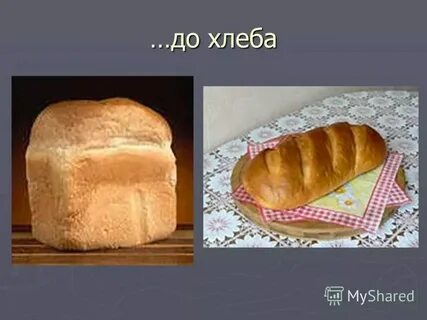 Анализ слова хлеб