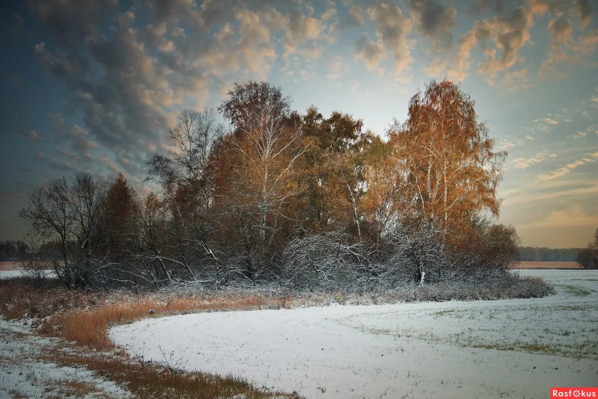 Пейзаж 1. Пейзаж первый снег. Предзимние пейзажи. Ранний снег. Пейзаж первого снега.