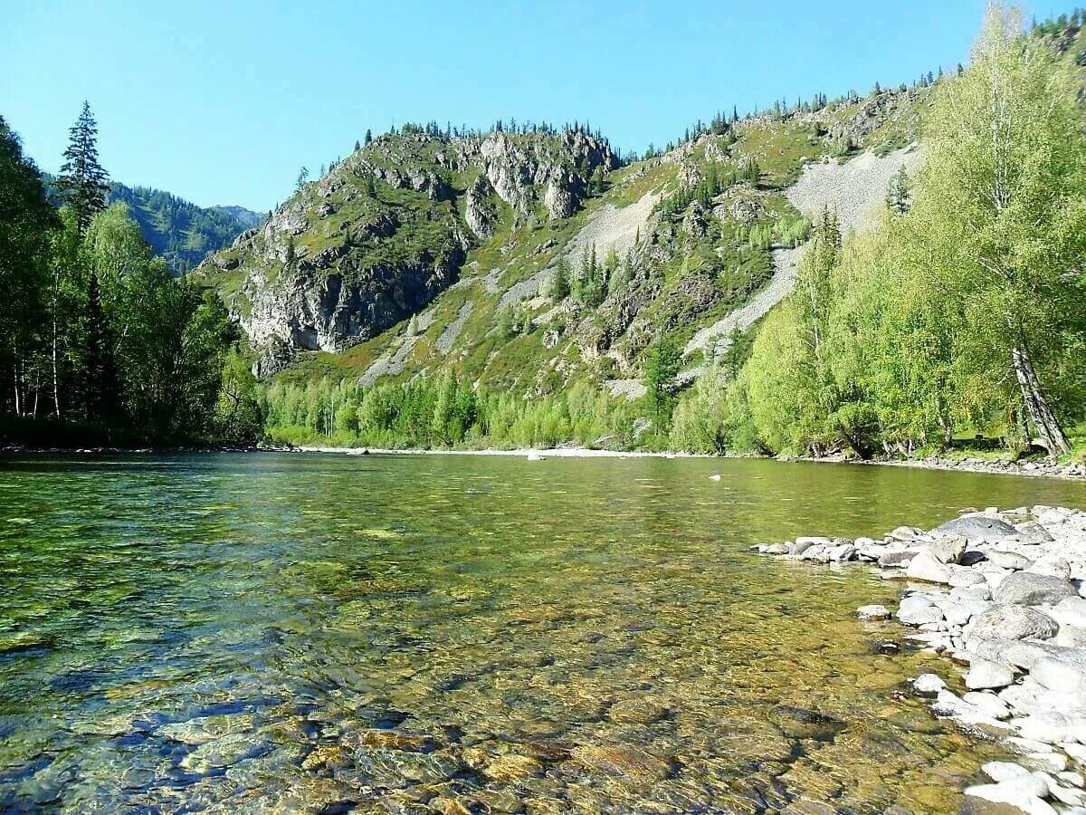Река чарыш горный алтай. Горный чарыш. Река чарыш. Река чарыш алтайский край. Горный чарыш алтайский край.