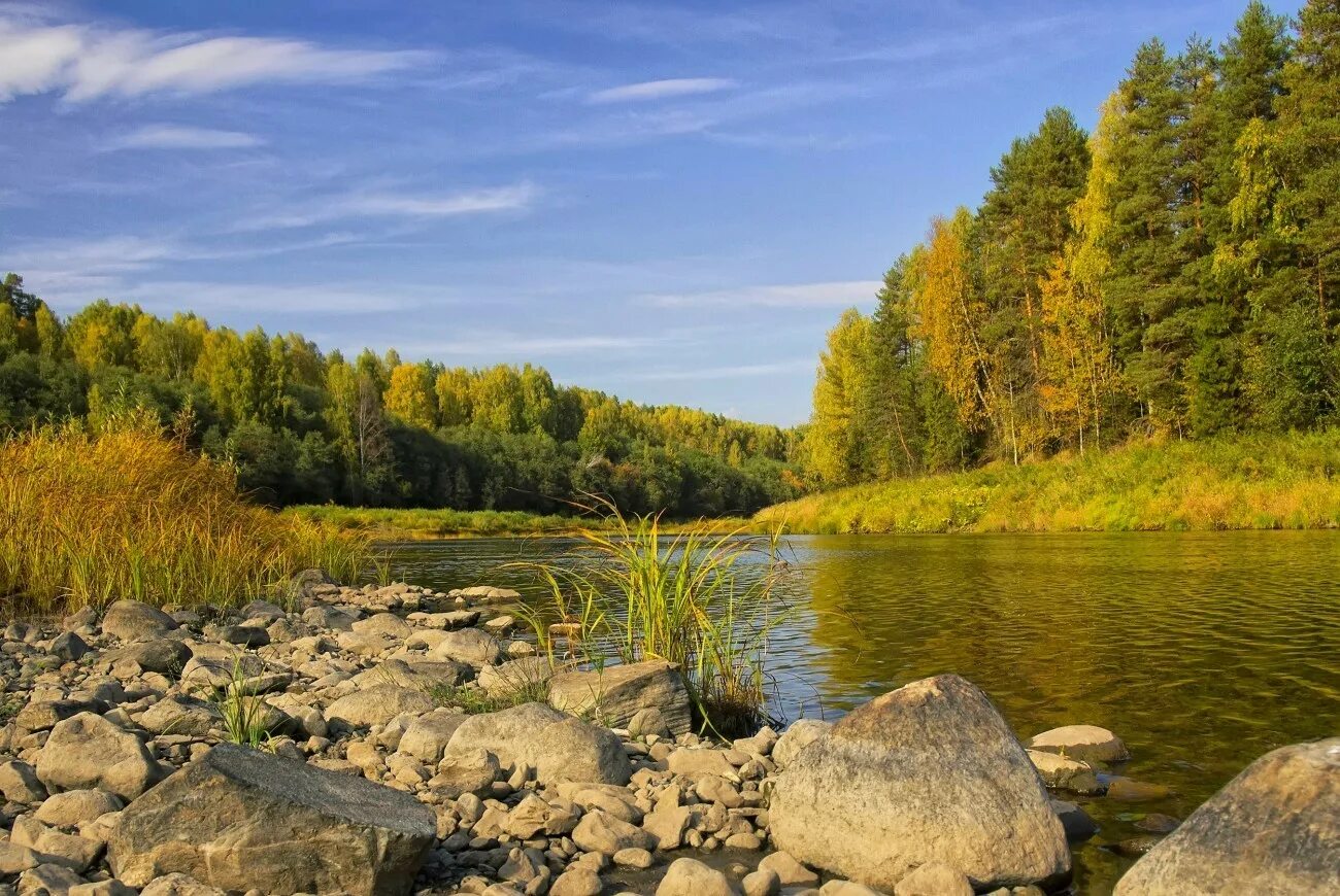 Река кема Вологодская. Река Юг Кировская область. Река Юг Вологодская область. Лесная речка Ленинградской области. Реки и озера вологодской