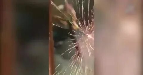 Полное видео от первого лица террористов крокуса