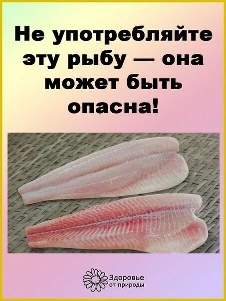 Не пей воду в ней рыбы. Презентация на тему вода которую мы пьем. Не пей воду в ней рыбы. Зачем мы пьем воду. Мемы про воду.