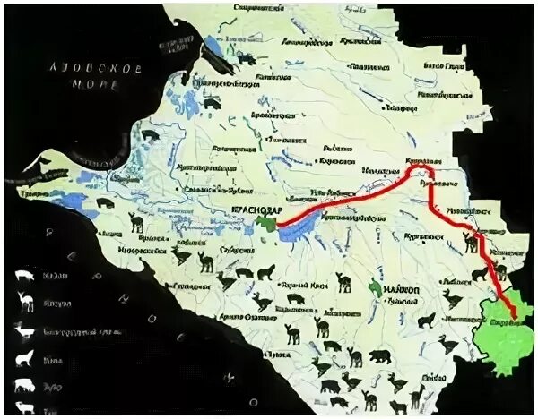 Карта охотника краснодарский край