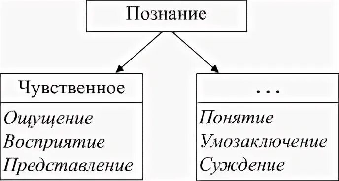 Восприятие суждение ощущение представление
