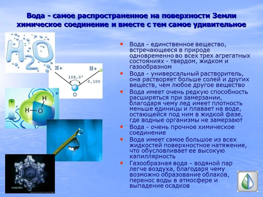 Химическое соединение воды. Соединения воды в химии. Самое распространенное химическое соединение. Химические вещества в воде.