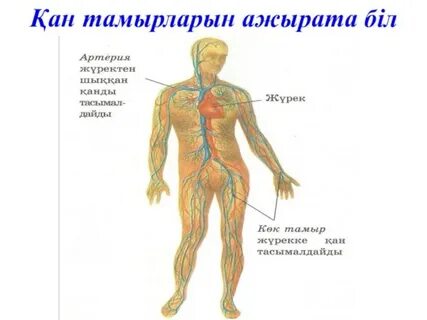 Юроичи мен Ичиго секс