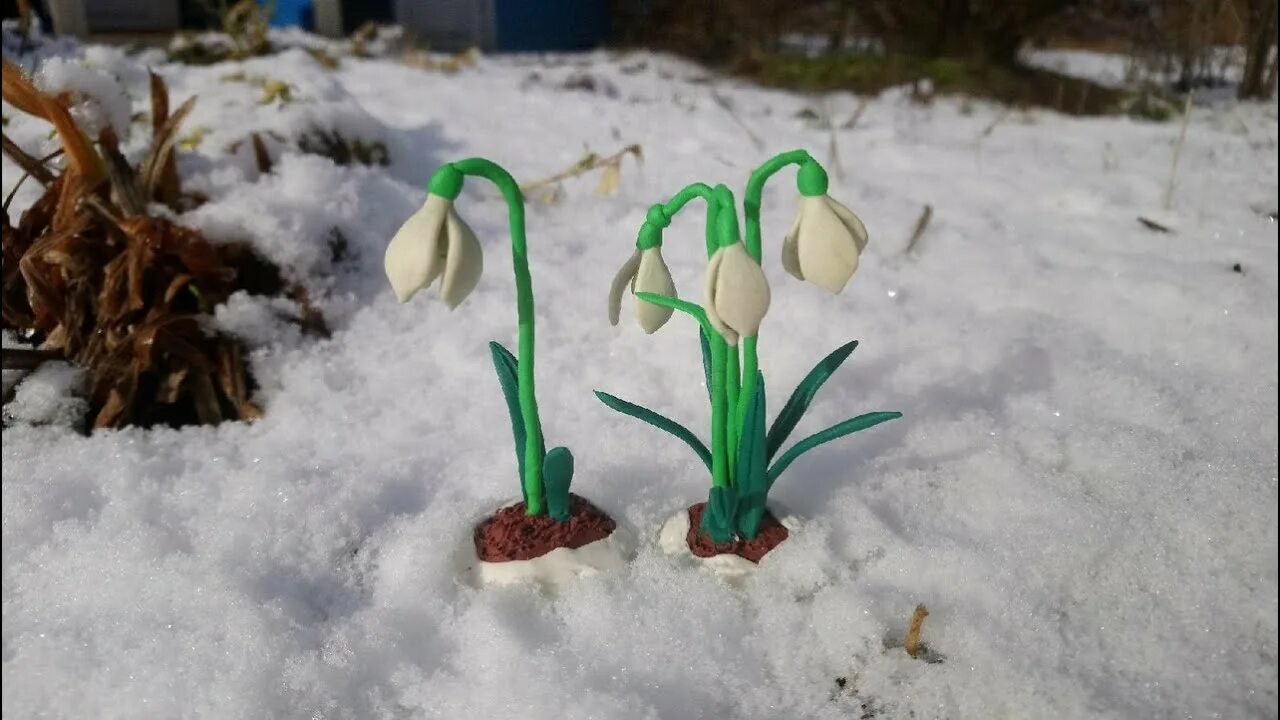 Лепка из пластилина подснежники. Лепка подснежники. Подснежники из пластилина.