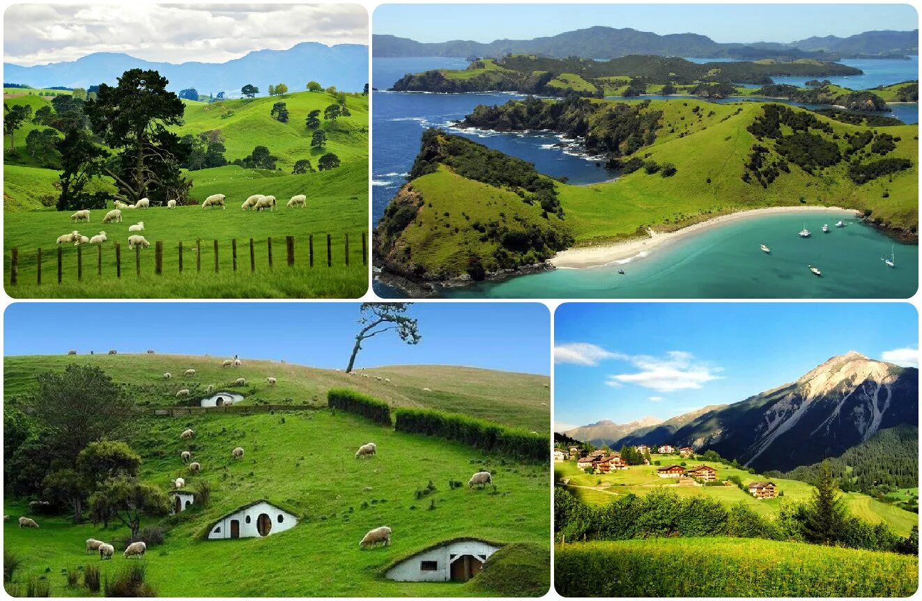 Новая зеландия 7 класс. Новая Зеландия коллаж. Новая Зеландия достопримечательности. Новая Зеландия рай на земле. Фотоколлаж новой Зеландии.