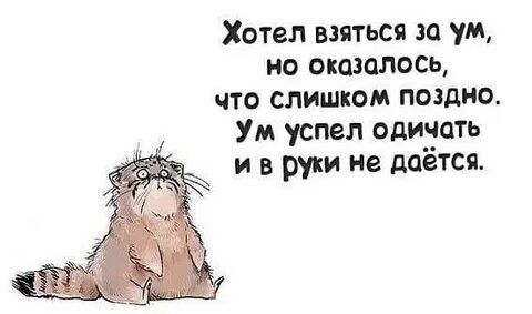 За что не возьмись не получается