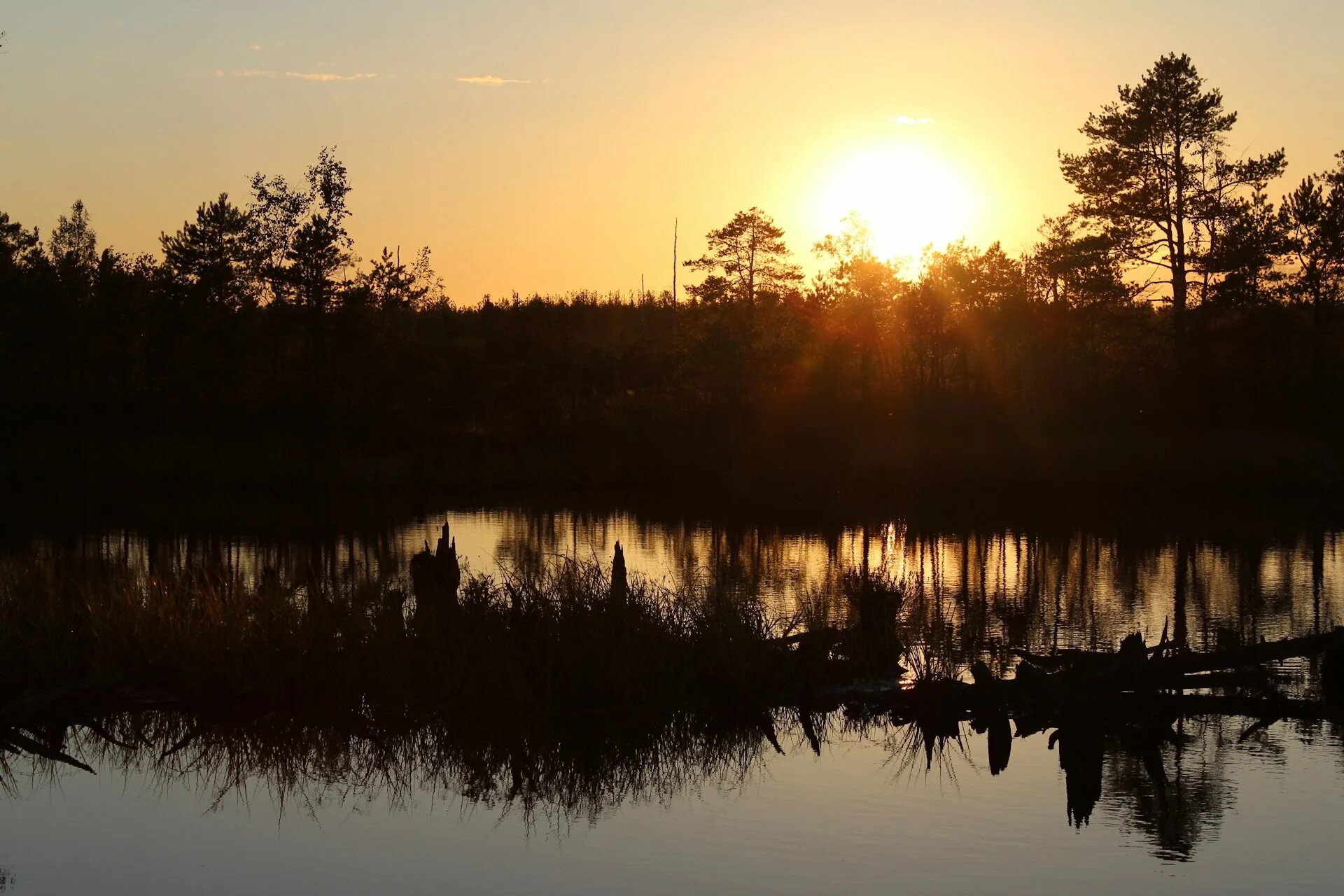 Мещера клепики. Нац парк мещера клепиковский район. мещера окский заповедник. белое озеро (рязанская область, северное). озёра мещёрского края.