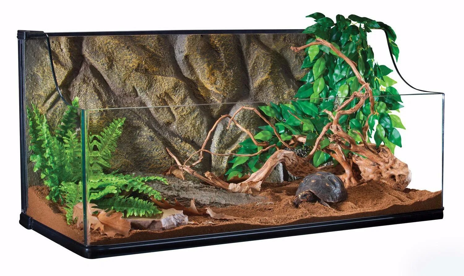 Террариум для мышей. Экспериментатор поместил лабораторную мышь в террариум. Клетка террариум для хомяка. Клетка для крыс ferplast. Флорариум гравитариум.