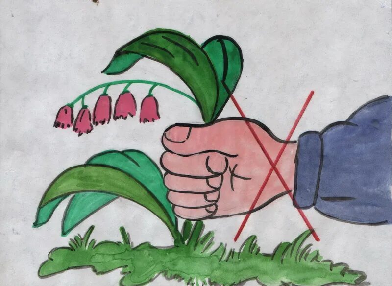 Плакат берегите растения. Рисунок берегите растения. Рисунок на тему береги растения. Плакат берегите растения 3 класс. Видео не рви цветы