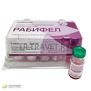 Прививка рабифел