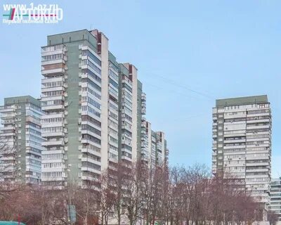 Доме лебеде
