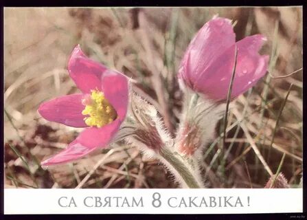 Восьмае сакавіка клип