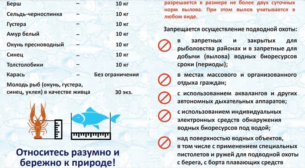 Правила рыболовства в Астраханской области в 2023 году. Правила рыболовства. Правила Любительской рыбалки. Правила рыбалки в Астраханской области в 2023 году новые.