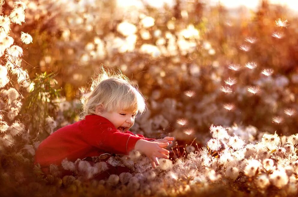 Счастье картинки. Фотохудожник Светлана Квашина. Счастливый ребенок. Счастье. Счастливые моменты детства.