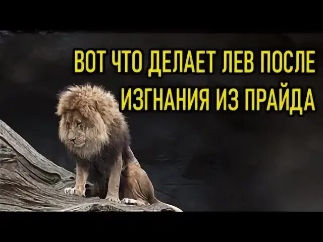 Делай левой делай правой