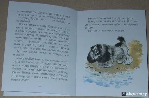 Рассказ е чарушина про томку