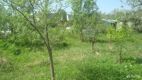 Снт дубрава калужская область
