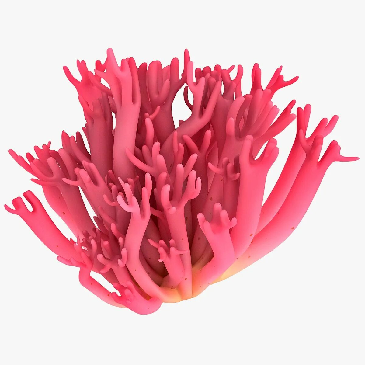 The coral has. Ланда коралл коралл. Коралловый риф 3d модель. Розовый коралл. Кораллы на 3д принтере.