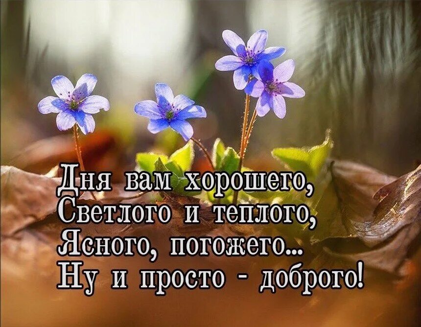 Доброго здравия