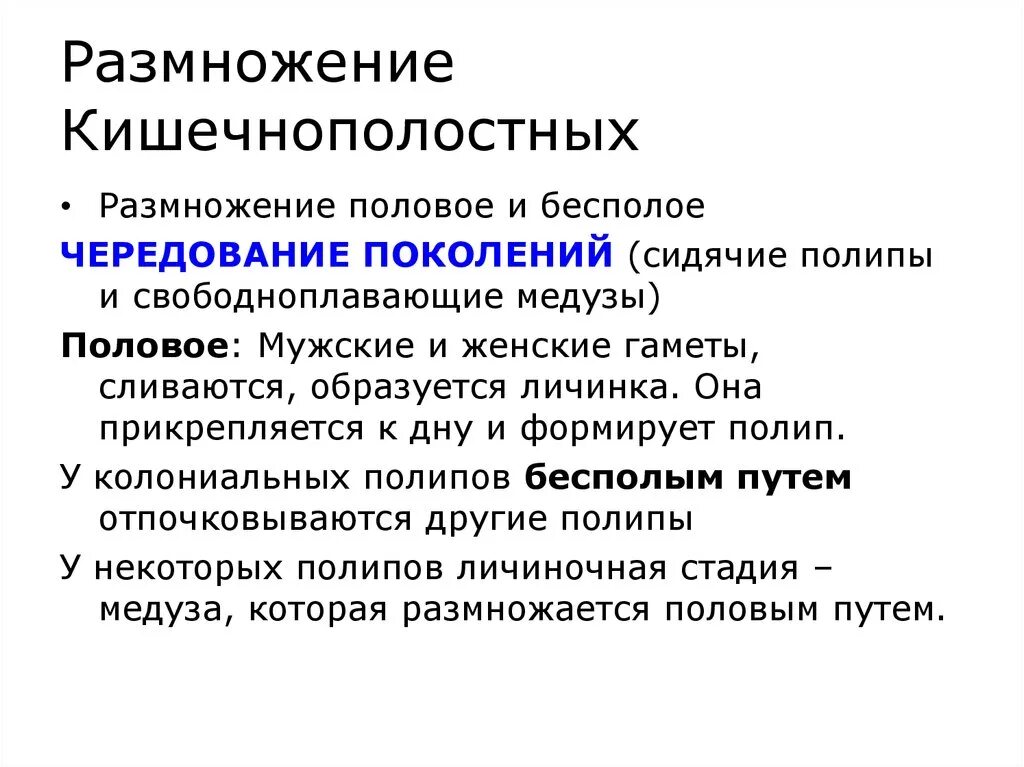 Является бесполым поколением. Размножение и развитие кишечнополостных. Размножение кишечнополостных. Особенности размножения кишечнополостных. Половое размножение кишечнополостных.