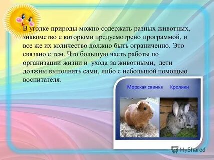 Животный уголок