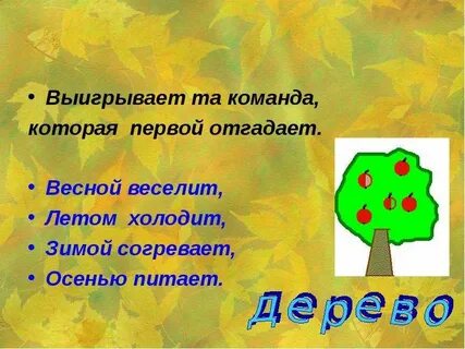 Ответ загадки весной веселит летом холодит