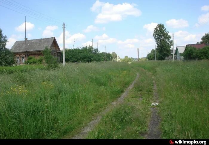 Деревня Ладыгино Ивановская область. Ладыгино Шуйский район. Деревня Ладыгино Воскресенский район. Станция Ладыгино Ивановская область. Ивановка магазин