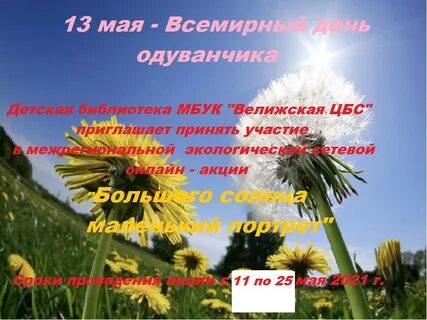День одуванчика в доу отчет