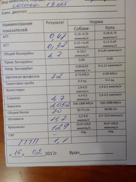 Можно сдать анализ на коклюш. Анализы при коклюше. Общий анализ мочи при коклюше. Коклюш ОАК. ОАК при коклюше у детей анализ.