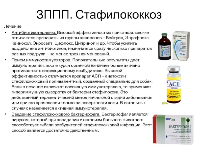 Препараты для лечения бактериальной инфекции. Антибиотики при стафилококковой инфекции. антибиотики против золотистого стафилококка. таблетки при стафилококке. препараты для лечения стафилококковой инфекции.
