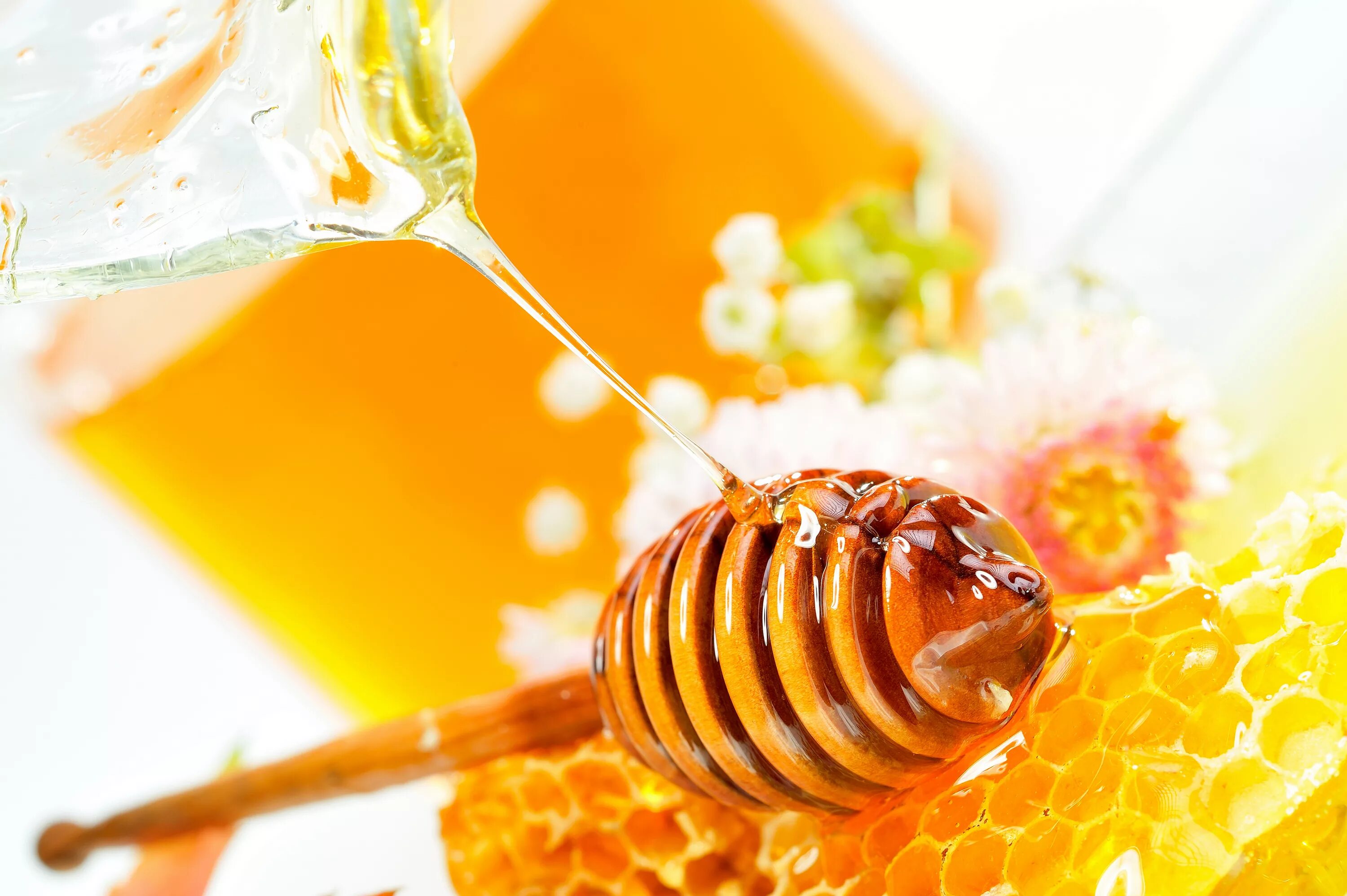 Вкушая вкусив мало меда. Пчелиный мёд. Соты пчелиные. Мёд в сотах. Пчелы и мед.