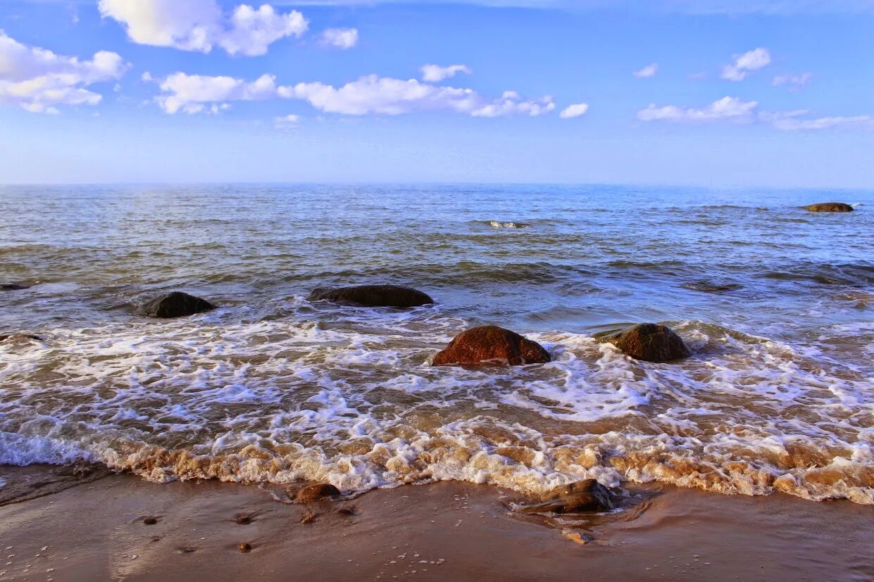 Богатство балтийского моря. Рифы Балтийского моря. Балтийское море 2022. Балтийское море Калининград Солнечный день.