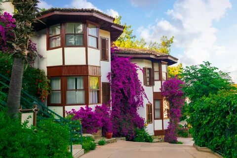 Hotel letoonia