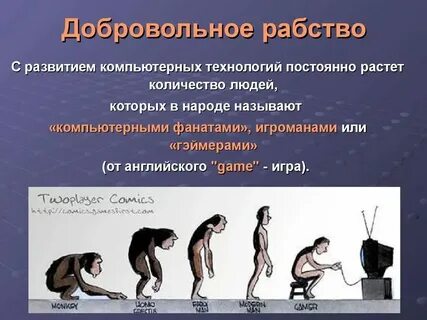 Слуга системы