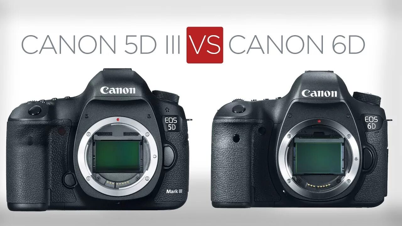 Canon 5d mark iii vs. Canon 5d mark iii vs. Canon 1dx mark iii. Canon 5d mark iii. Canon 5d mark iii vs.