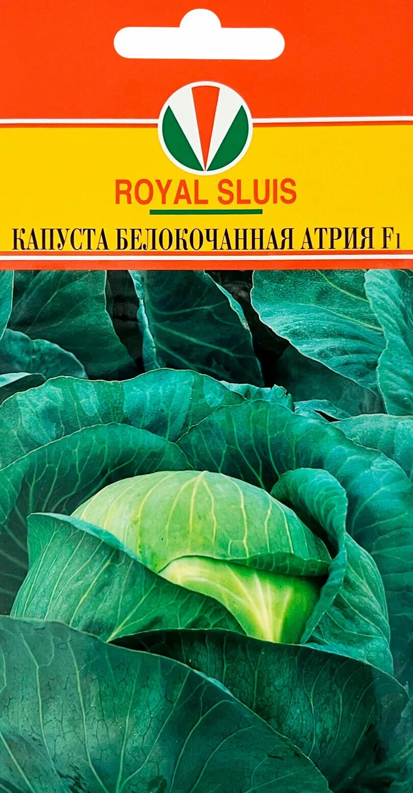 Капуста атрия отзывы фото Капуста б/к поздняя Атрия F1 (сем. Seminis) 10 шт.