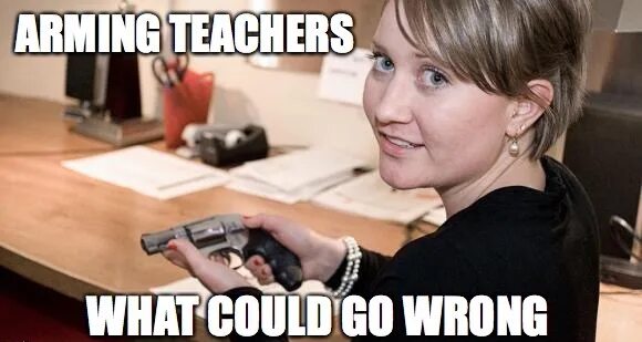 What did go wrong. What could possibly go wrong. учитель с пистолетом мем. biolabs what could possibly go wrong meme. &quot;whan could go wrong&quot;.