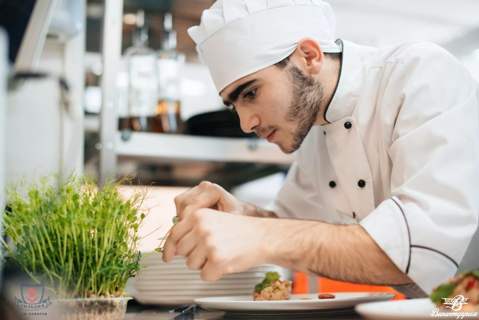 Шеф повар как правильно. Шеф-повар. Профессиональный повар. Михаил ковалев екатеринбург троекуров. Повар.