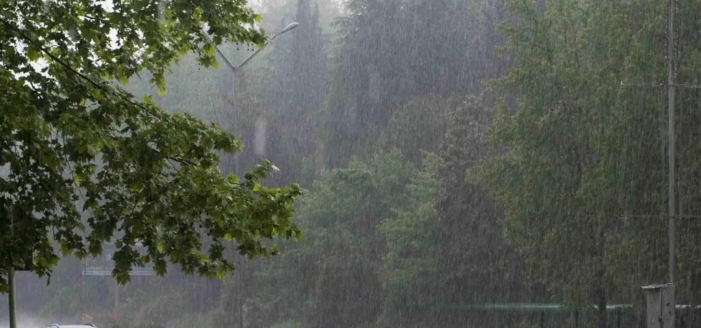 Дожди усилить. В Северной Осетии объявлено штормовое предупреждение. Тропический дождь в Сочи. Летний дождь с грозой в Сочи. Дожди в Осетии.