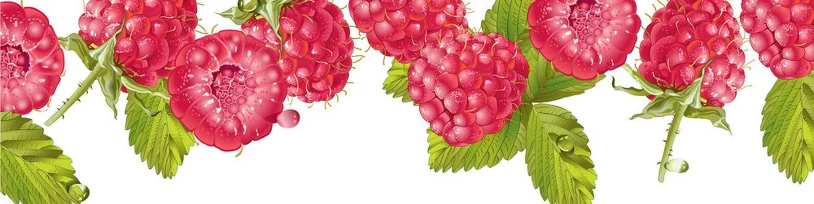 Малинка опт. Группа малинки. рамка малинка. рамка малина. рамка ягода малина.
