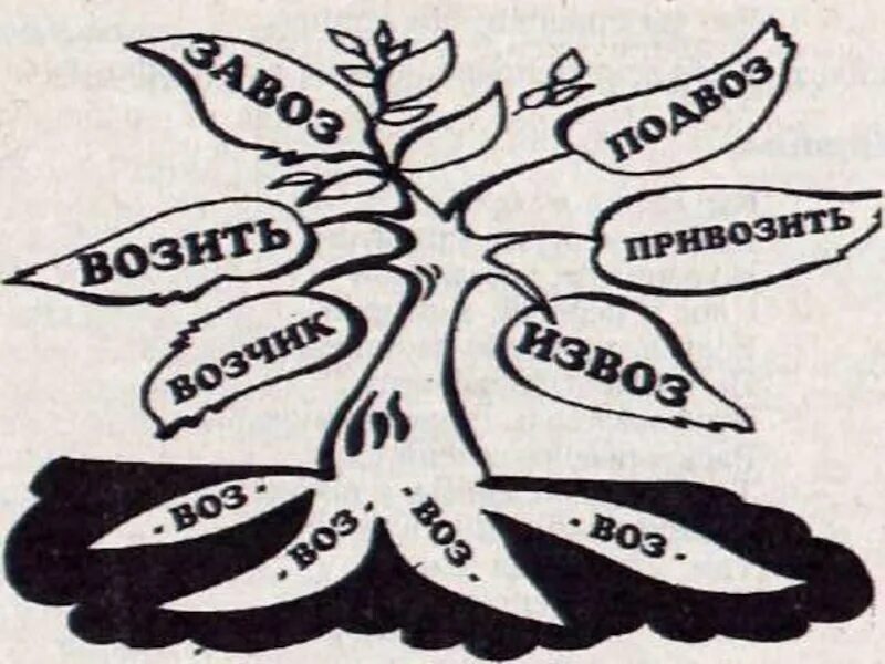 Дерево на начало слова. Дерево с однокоренными словами. Дере однокореныых слов. Дере во с однокореныме словами. Дерево с однокоренными словами рисунок.