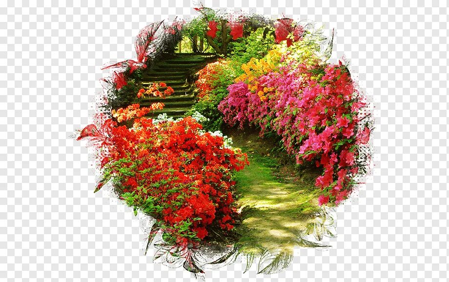 Сад пнг. Цветы в саду. Сад на прозрачном фоне. Цветы в саду на прозрачном фоне. Цветочная клумба в иллюстраторе.