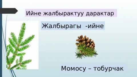 Тина Тернер порно фотосуреттері