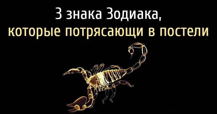 Гороскоп в постели. Знаков зодиака в постели. Знаки зодиака зодиака в постели. Самые лучшие знаки зодиака в постели. Скорпион в постели.