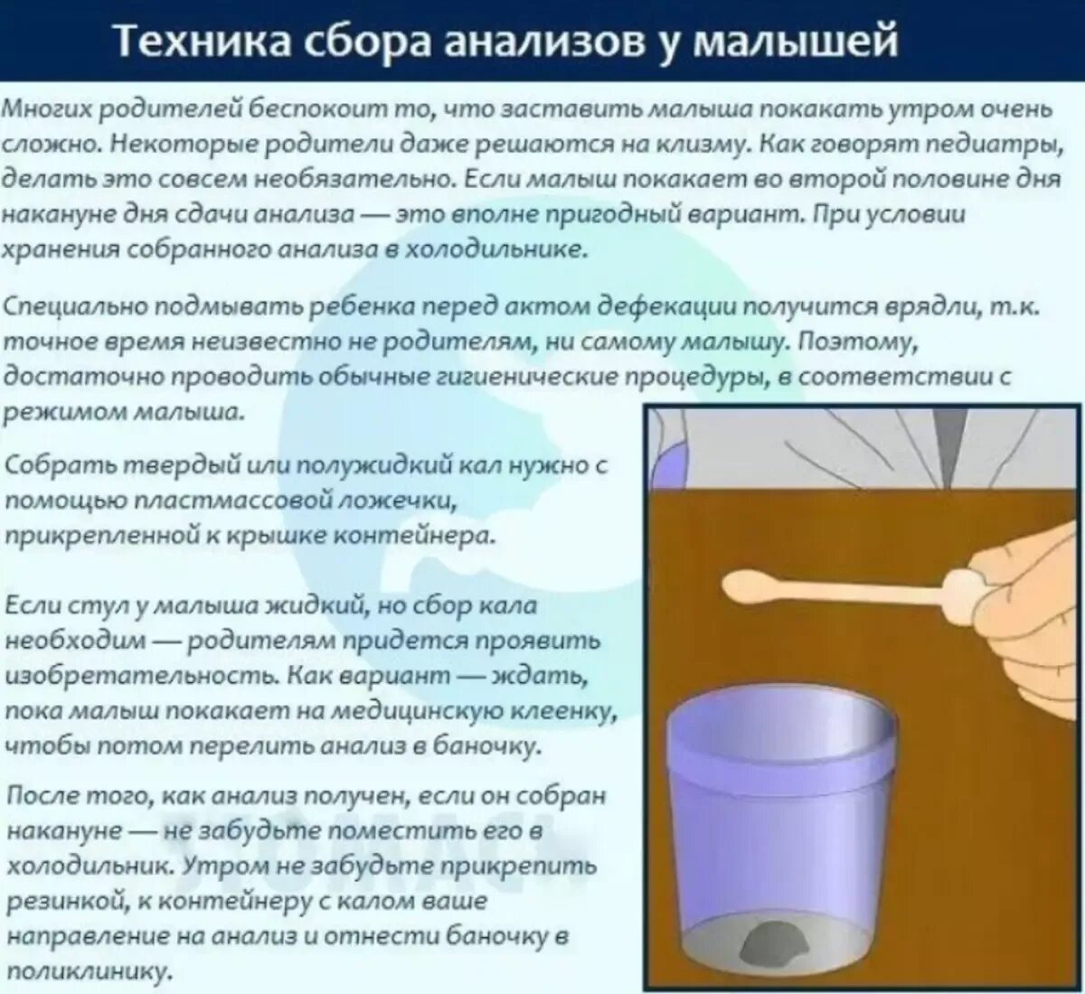 Можно ли сдать кал собранный вечером. Как правильно сдать анализ кала. Как сдавать кал на анализ. Сколько кала необходимо для анализа. Правильный сбор кала на анализ.